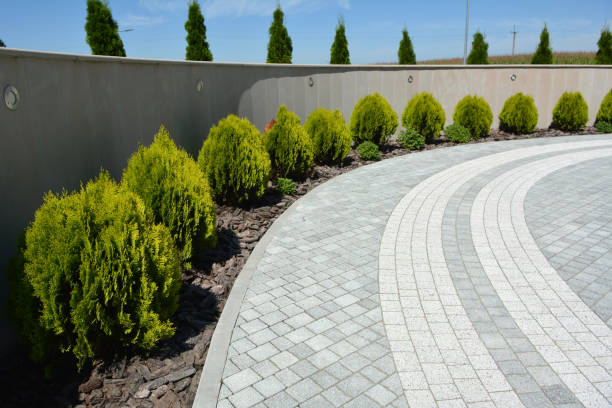 Best Driveway Paving Contractor  in Eagle, WI